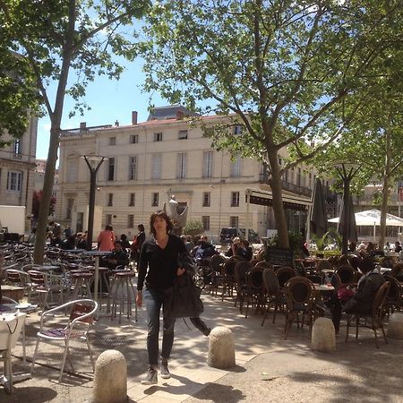 La Suite Du Jeune Homme Montpellier Luaran gambar